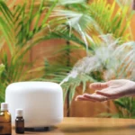 Aromathérapie pour les débutants : les 6 huiles essentielles à connaître – le 14 mars à 14h